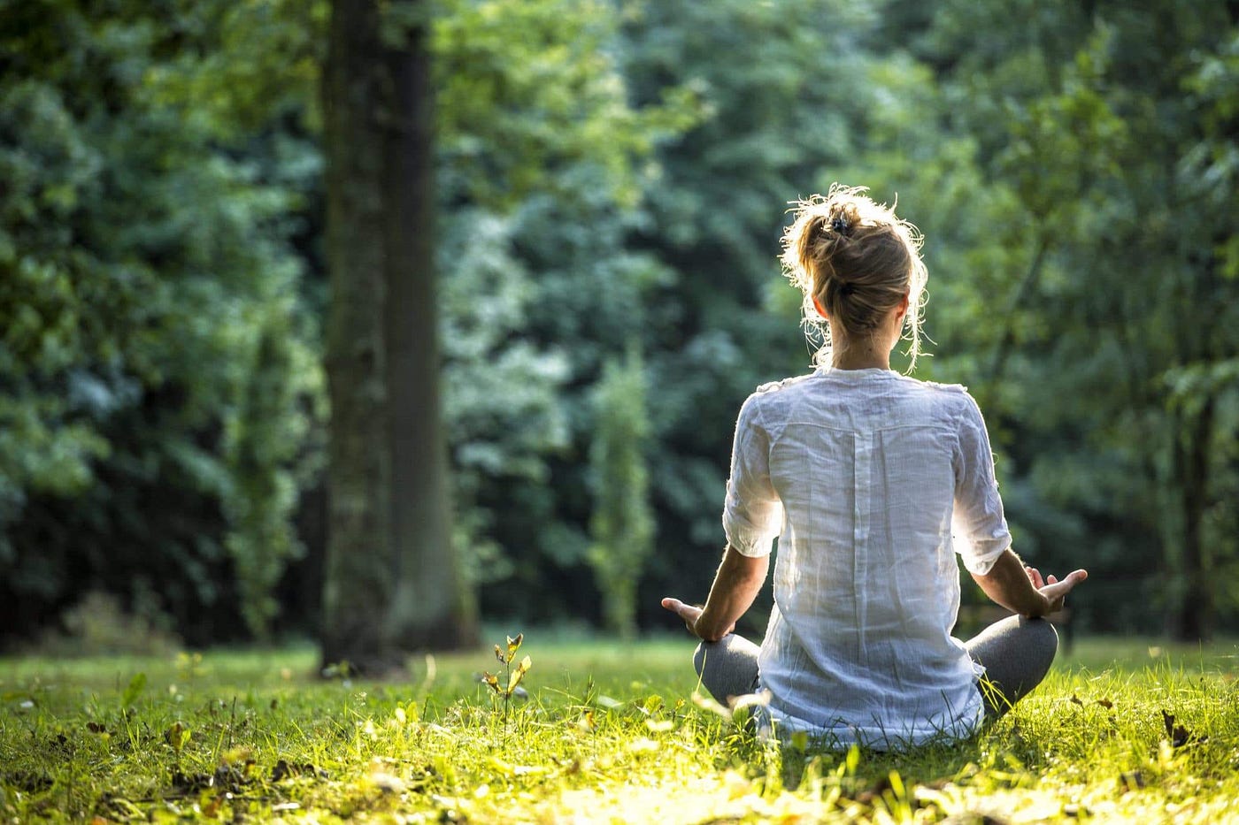 Cultivate Inner Peace and Presence with Mindfulness Meditation
