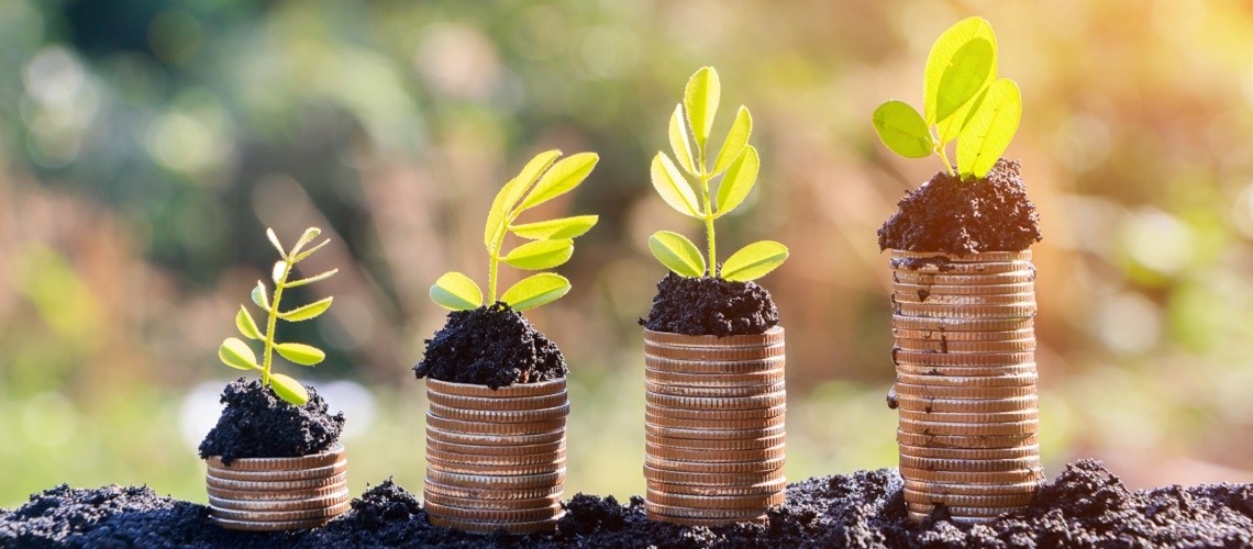 Embracing Sustainability: Exploring Sustainable Finance Initiatives